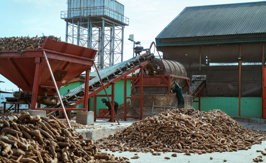 Cost Analysis: Are Biomass Briquettes More Economical Than Traditional Fuels for Businesses?