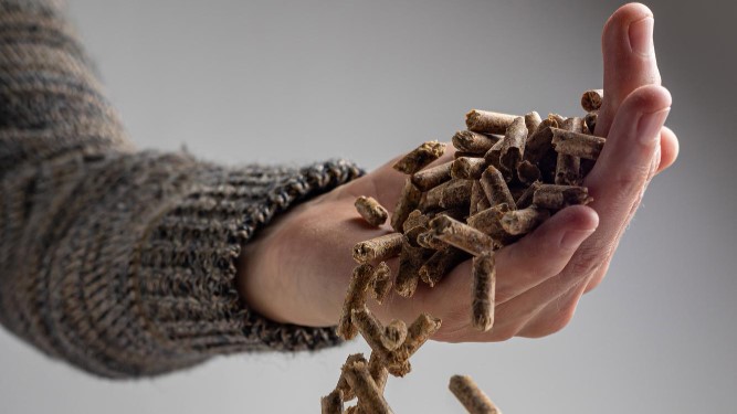 How Biomass Briquettes Help Businesses Achieve Sustainable Energy Goals